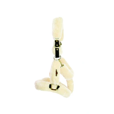Image de Kentucky Transport halster beige maat:cob