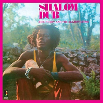 Afbeelding van King Tubby &amp; The Aggrovators Shalom Dub (CD)