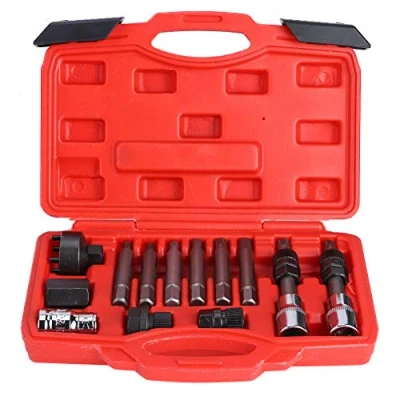 Afbeelding van 13 stks Dopsleutel Katrol Service Tool Dynamo Bits en Dopjes Free Wheel Removal Kit met Draagdoos