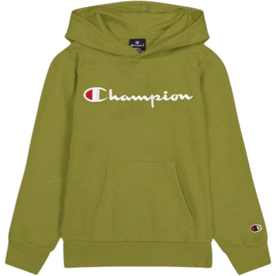 Afbeelding van Champion Icons Hoodie Contrast LOGO Unisex voor kinderen, Maat: 150/155, Green