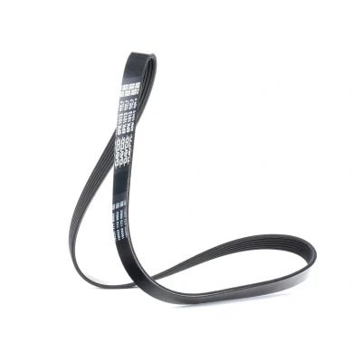 Afbeelding van DAYCO 6PK1013 Multiriem 1013,0 6 PEUGEOT: 206 Hatchback, Saloon, FORD: Escort 5 Cabriolet, 6, 5, RENAULT: ESPACE 3, CLIO 1
