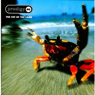 Afbeelding van Prodigy Fat Of The Land