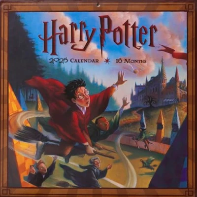Afbeelding van Harry Potter kalender 2025 Kalenderboek meerkleurig