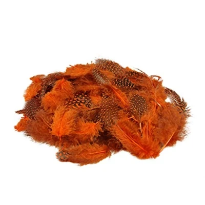 Afbeelding van Netuno 6 g parelveren met stippen, veren voor sieraden van vogelveren, natuurlijke knutselveren om te knutselen, paasdecoratie, Kerstmis, oranje, 150 stuks