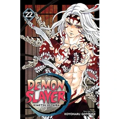 Afbeelding van Demon Slayer: Kimetsu no Yaiba Yaiba, Vol. 22