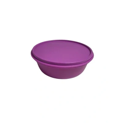 Afbeelding van TUPPERWARE Hit Parade Koelkast, 600 ml, roze Grand Hitparade Panorama
