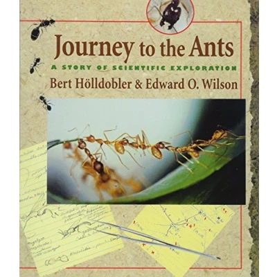 Afbeelding van Journey to the Ants