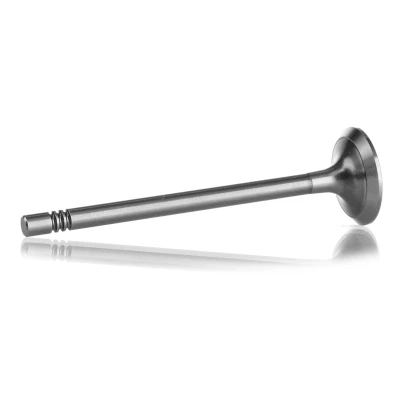 Afbeelding van Ae Uitlaatklep V94405