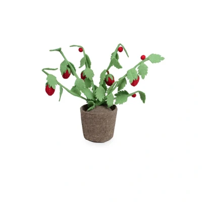 Afbeelding van KidsDepot Plant Vilt Strawberry