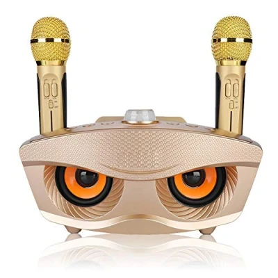Afbeelding van bluetooth karaoke systeem, luidspreker met twee microfoons, houder voor telefoon/USB/TF kaart/AUX ingang, draagbare thuisfeesten, bruiloften