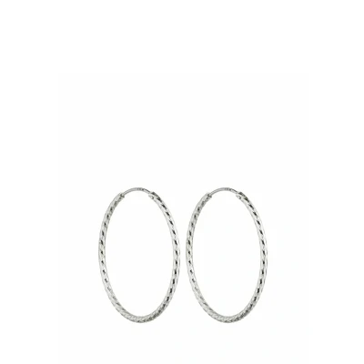Afbeelding van Purelei Gleam Oorbellen, Dames, Maat: One Size, Silberfarben