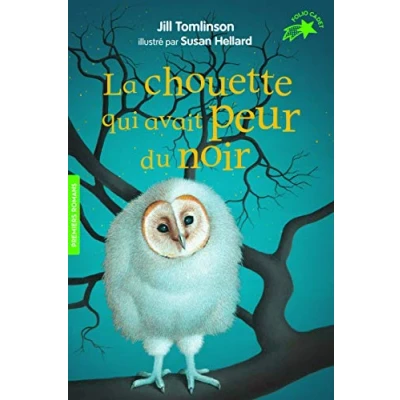 Afbeelding van La chouette qui avait peur du noir