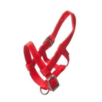 Image de HB Licol Nylon Rouge Poulain Miniature
