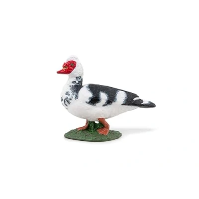 Afbeelding van Papo Wild Life Muskuseend 51189