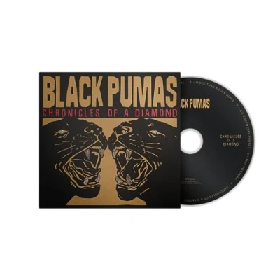 Afbeelding van Black Pumas Chronicles Of A Diamond (CD)