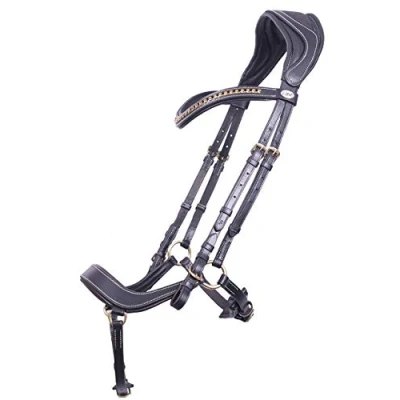 Image de QHP Bridle Devi