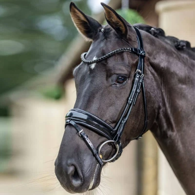 Afbeelding van LeMieux Hoofdstel Kudos Patent Dressuur Zwart Pony Agradi.be
