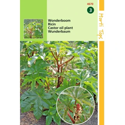 Afbeelding van 2 stuks Hortitops Ricinus Zanzibariensis Gemengd