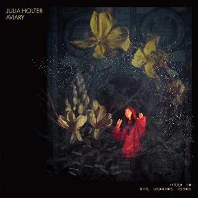 Afbeelding van Julia Holter Aviary (2 LPs)