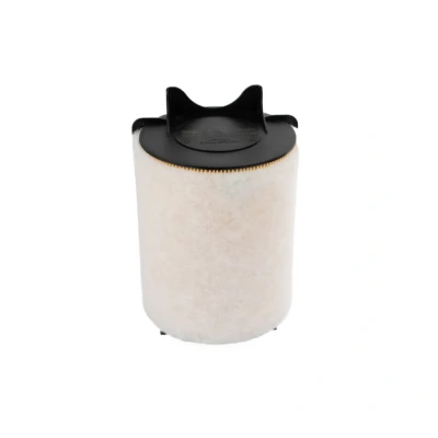 Image de Filtre à air mann filter c14130/1