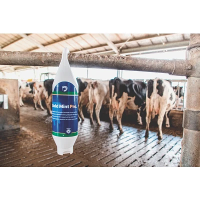 Afbeelding van Gold mint pro 500ml