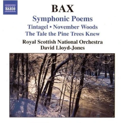Afbeelding van Royal Scottish National Orchestra, David Lloyd Jones Bax: Symphonic Poems (CD)