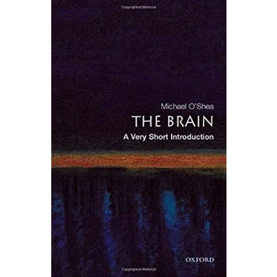 Afbeelding van Brain Very Short Introduction