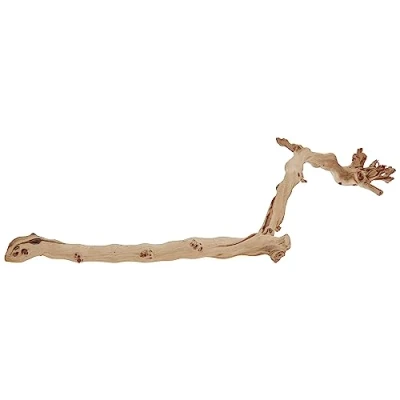 Image de Exo Terra Branche forestière, taille L (la exacte peut varier)