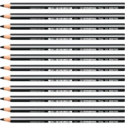 Image de Stabilo Trio Crayon de couleur triangulaire Noir Lot 12