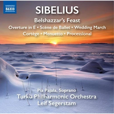 Afbeelding van Turku Philharmonic Orchestra, Leif Segerstam Sibelius: Belshazzar&#039;s Feast (CD)