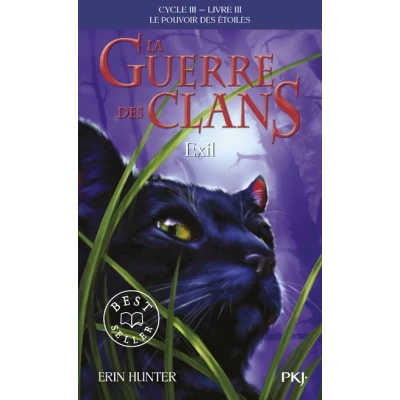 Image de La guerre des Clans Cycle III tome 3 Exil