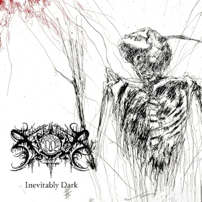 Afbeelding van Inevitably Dark