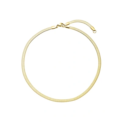 Afbeelding van Purelei I&#039;LALO Ketting goldcoloured, Dames, Maat: One Size, Gold coloured