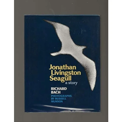 Image de Jonathan Livingston le goéland