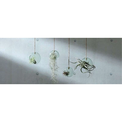 Afbeelding van L.S.A. Canopy Plantenhanger ø 12 cm Transparent / Recycled Glass