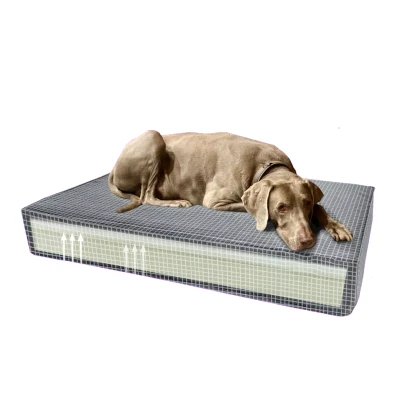 Afbeelding van Madison Orthopedisch kussen Velvet groen S