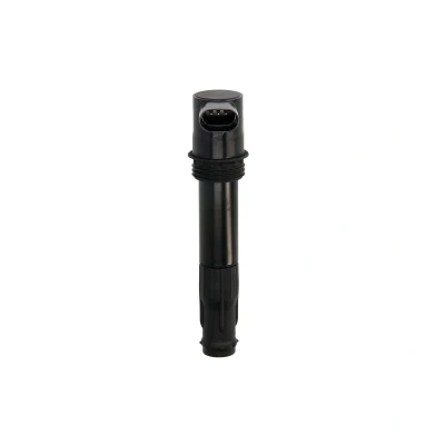 Afbeelding van Bobine DELPHI CE10027 12B1