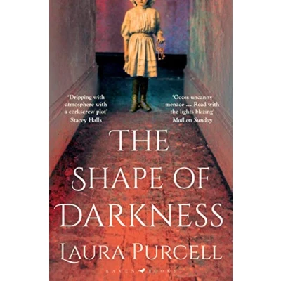 Afbeelding van The Shape of Darkness