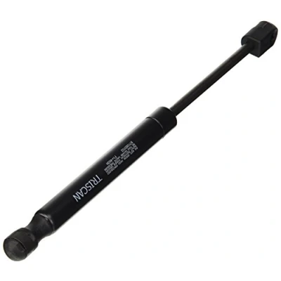 Afbeelding van Triscan Gasveer 8710 80102