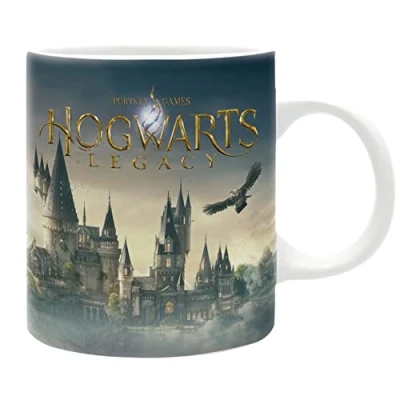 Afbeelding van Harry Potter Hogwarts Legacy Castle 320 ml Mok