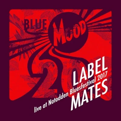 Afbeelding van Various Artists Live At Notodden Blues Festival (20 (CD)