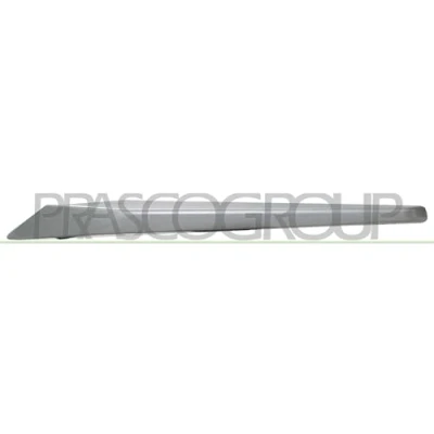 Afbeelding van BLIC 5513 00 0063923P Plaat, radiateurgrille