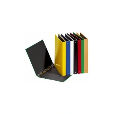 Image de Pagna classeur ? anneaux basic colours, m?canisme 4 20605 06
