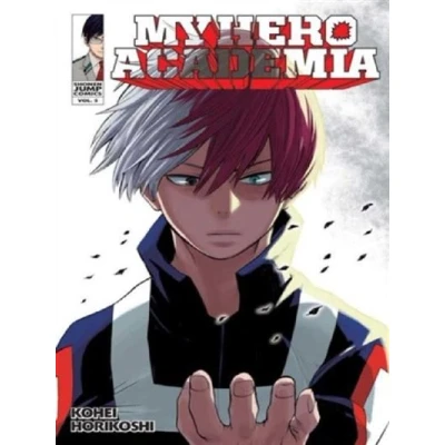 Image de Shoto todoroki