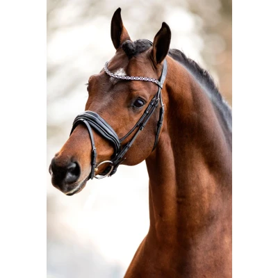 Image de HB Showtime Bride Great Love Noir Full
