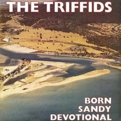 Afbeelding van Triffids Born Sandy Devotional (LP)