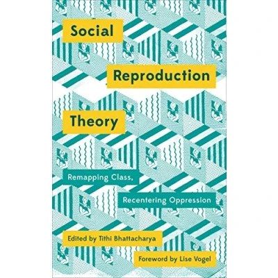 Afbeelding van Social Reproduction Theory Remapping Class, Recentering Oppression Mapping