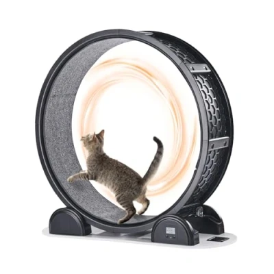 Image de VEVOR Roue d&#039;exercice pour chat avec podomètre 1038 mm la santé des animaux