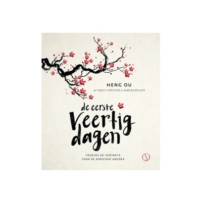 Afbeelding van Samsara De eerste veertig dagen