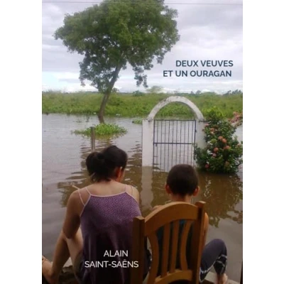 Afbeelding van Deux veuves et un ouragan